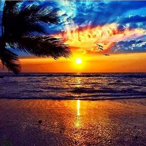 Meet your Posher, Dinah